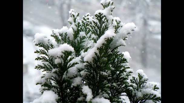 wintermorgen-1